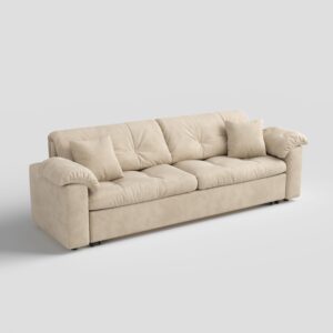 Cottonfy Multifunctional Sleeper Pull Out 2 Seater Sofa Bed with Storage Space