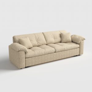 Cottonfy Multifunctional Sleeper Pull Out 2 Seater Sofa Bed with Storage Space