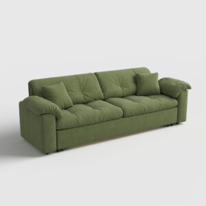 Cottonfy Multifunctional Sleeper Pull Out 2 Seater Sofa Bed with Storage Space