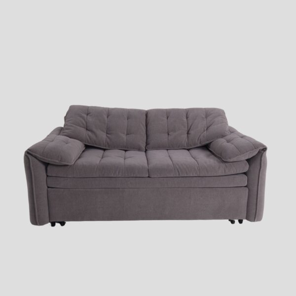 Cottonfy Upgraded Cloud Chenille Skin Friendly Sofa Bed with Storage